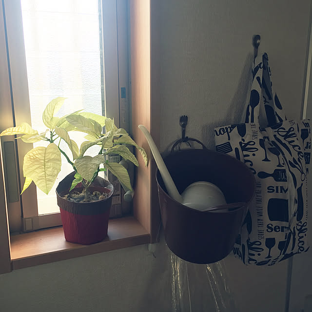 cloverさんの実例写真