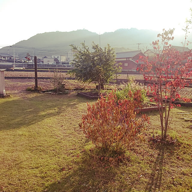 180447hiroさんの実例写真
