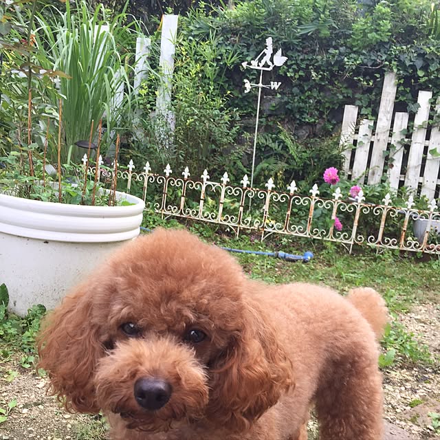 Naomiさんの実例写真