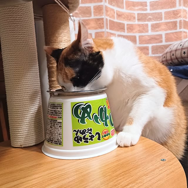 nanaさんの部屋