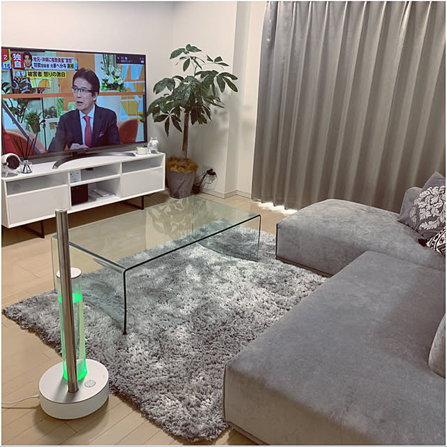 観葉植物/ソファ/ガーデニング/一人暮らし/照明...などのインテリア実例 - 2019-11-24 01:12:29