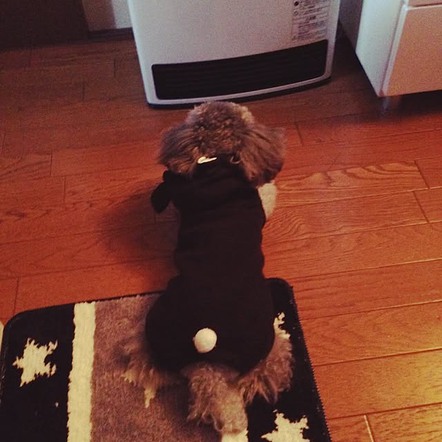 s.s.l_mikiさんの実例写真