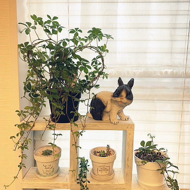 hinaさんの実例写真