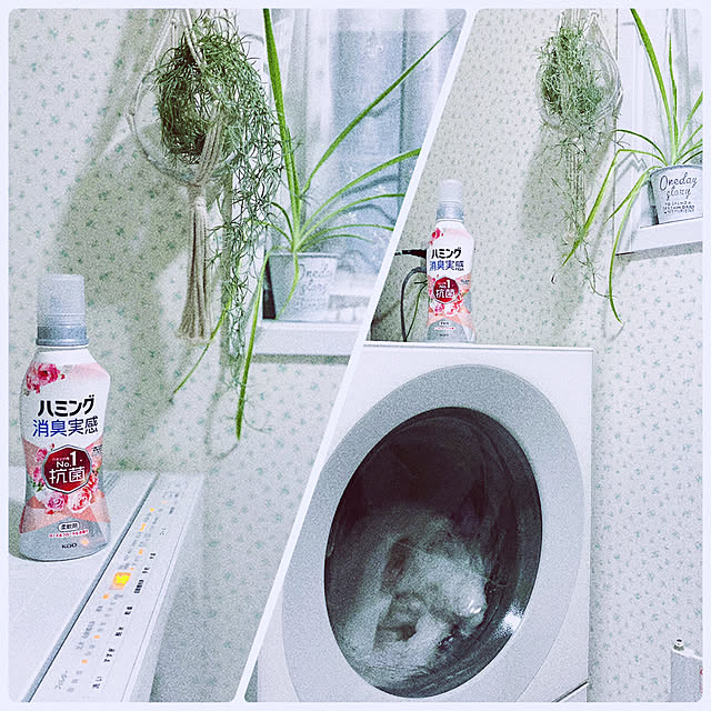 usagiさんの部屋