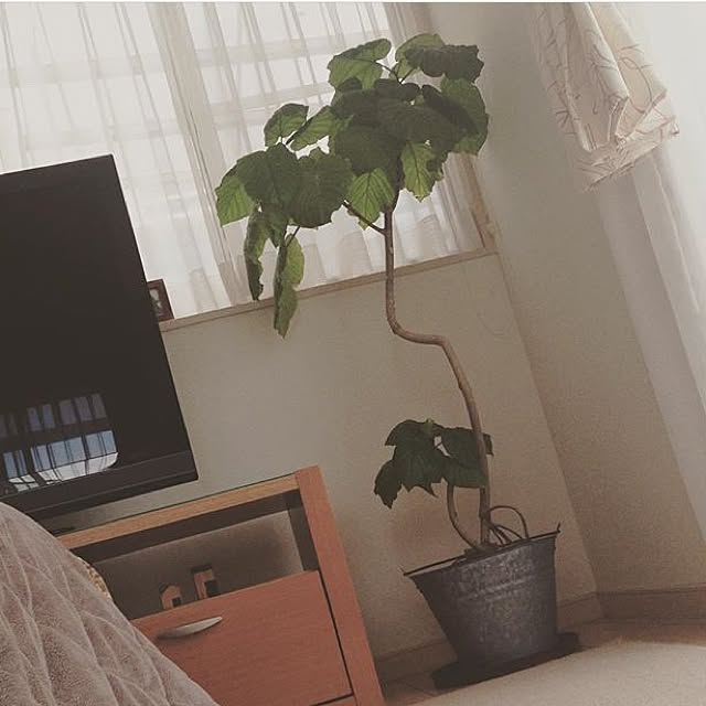 marikoさんの実例写真