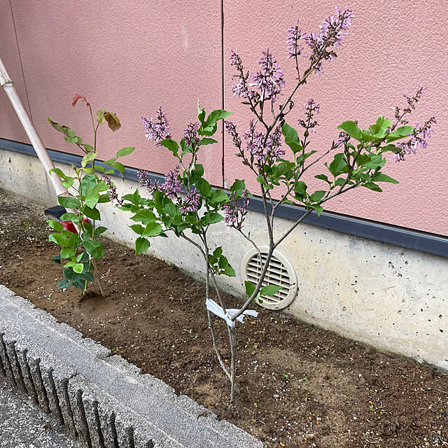 kakoさんの部屋