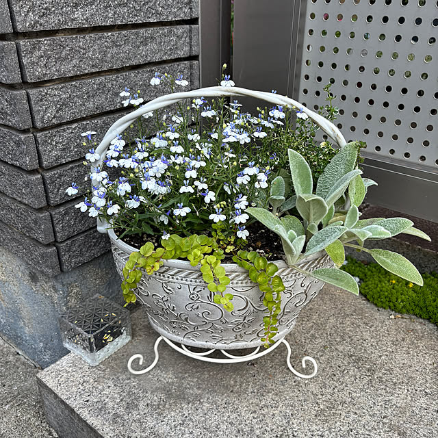 maayaさんの部屋
