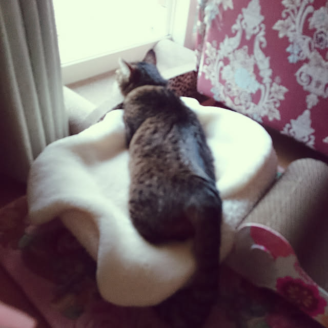 lilyさんの実例写真