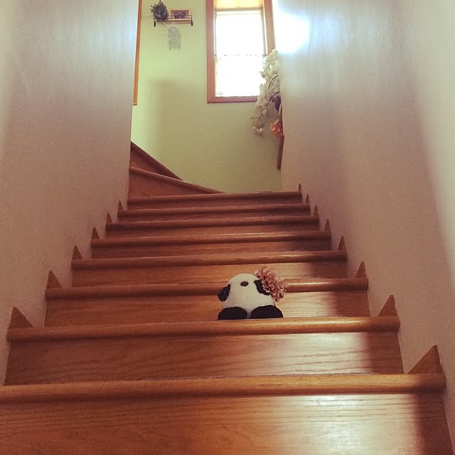 cloverさんの実例写真