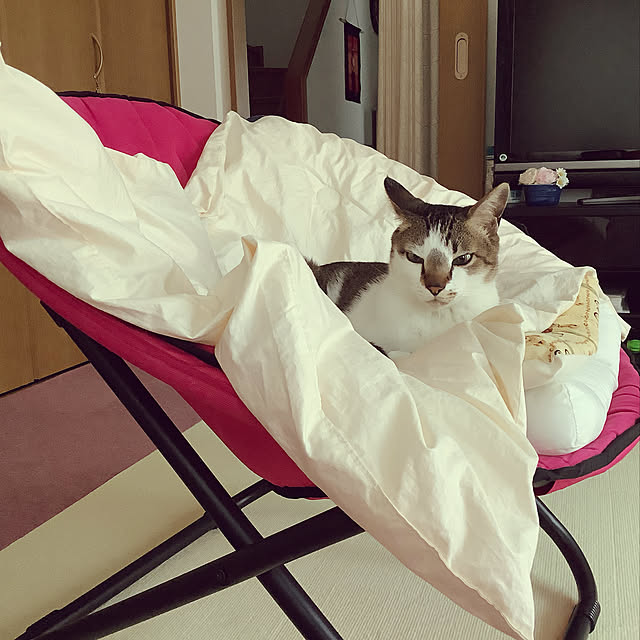 haruminさんの実例写真