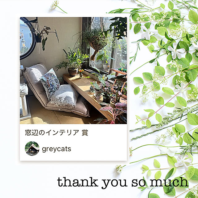 greycatsさんの実例写真