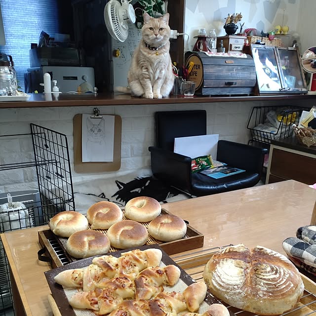 mntcさんの部屋