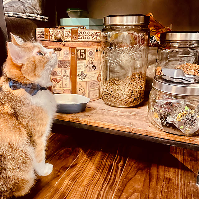 cooさんの実例写真