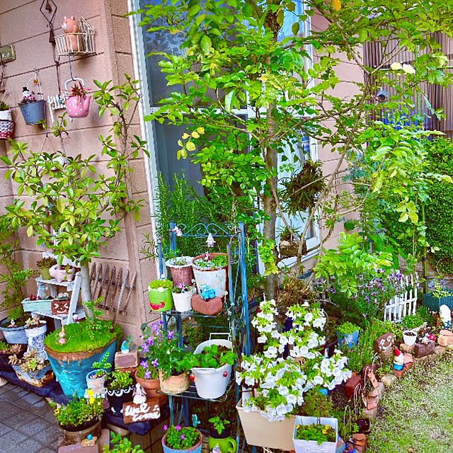 takakoさんの部屋