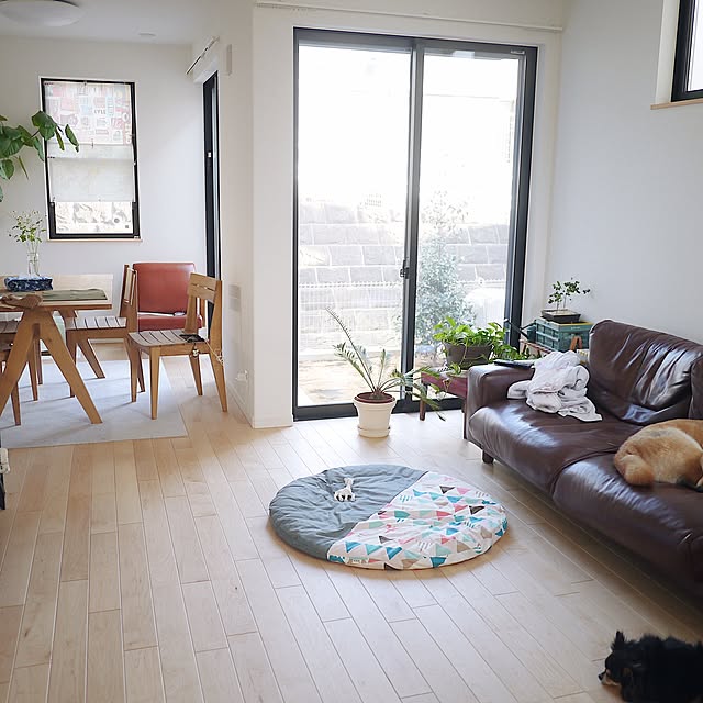 部屋全体/観葉植物/無印良品/ソファのインテリア実例 - 2017-03-12 15:53:27