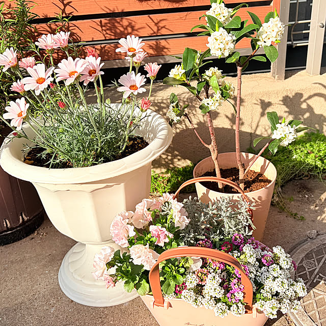 tocchiさんの実例写真