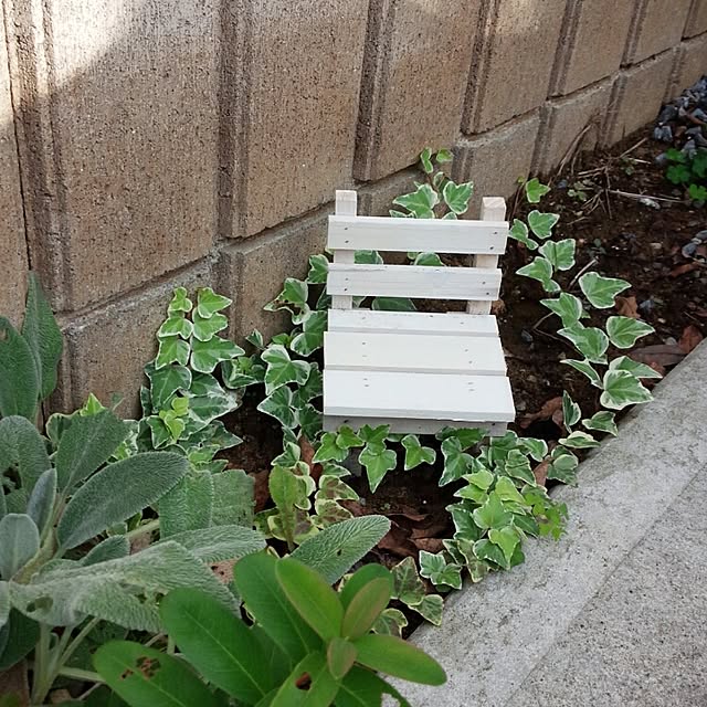 sunさんの実例写真