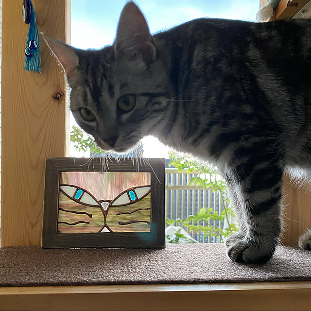yuzuaoさんの実例写真