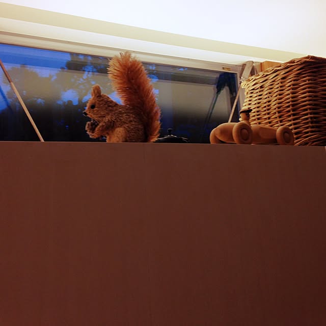 86yuki39さんの実例写真