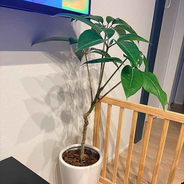 nacopimamaさんの実例写真