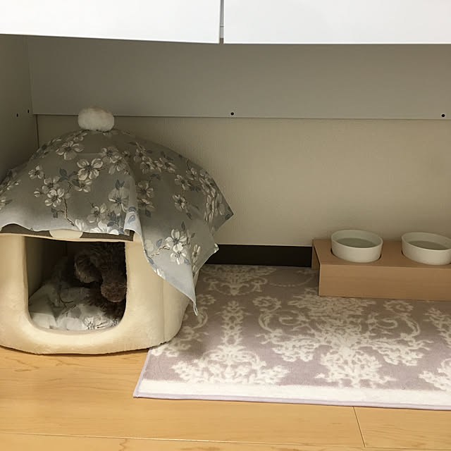 fionaさんの実例写真