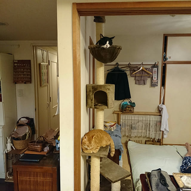okyosan101さんの実例写真