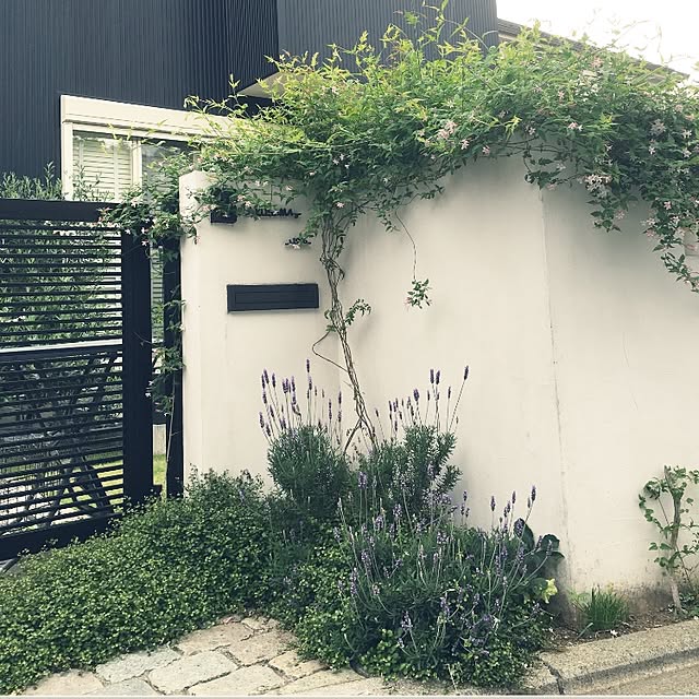 satototoさんの実例写真
