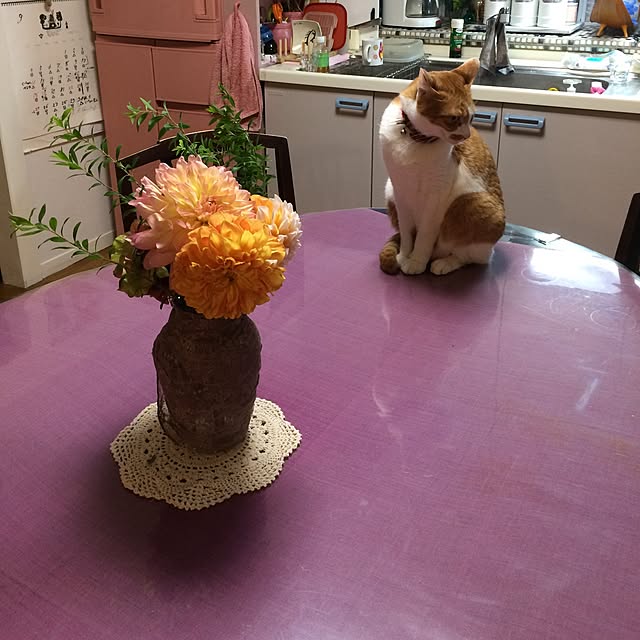 himenekoさんの実例写真