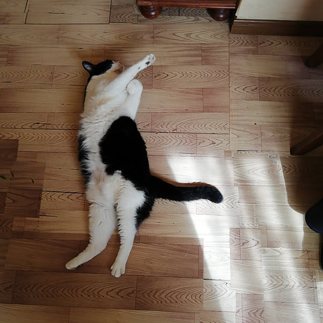 Tomopさんの実例写真