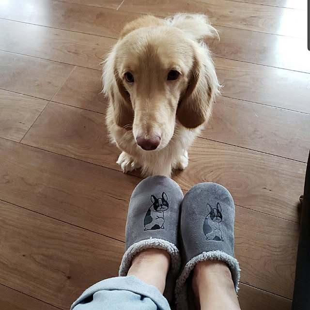 ciiiさんの実例写真