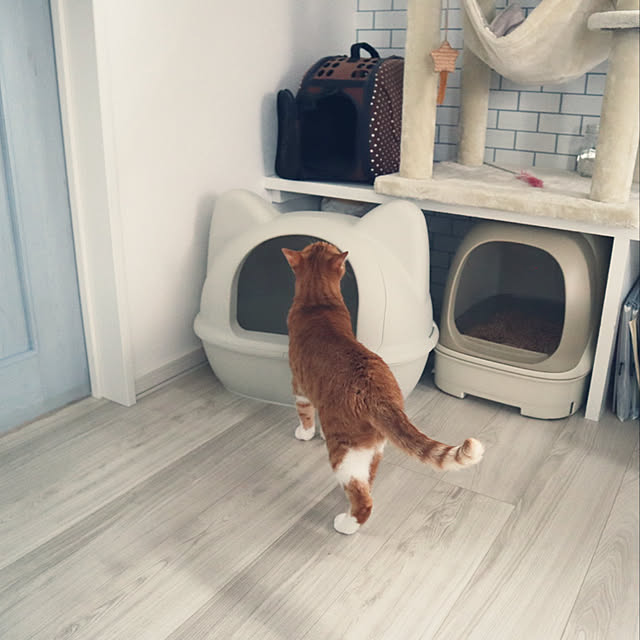 myuuさんの実例写真