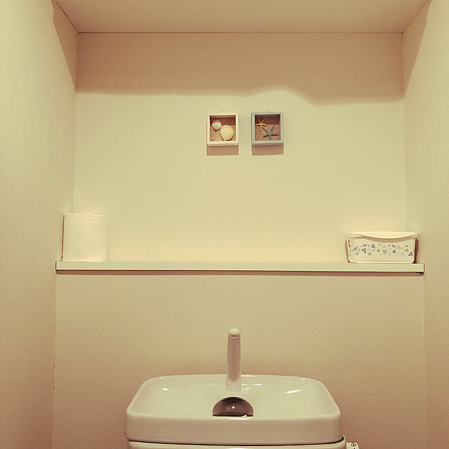 Aiさんの実例写真