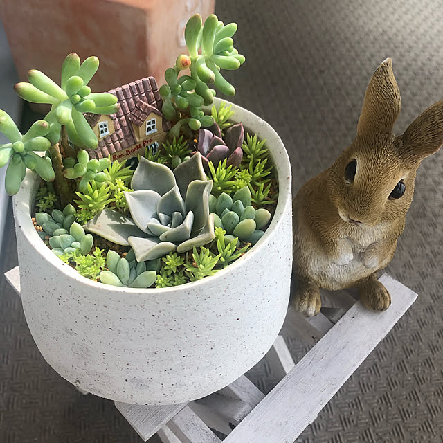 haruさんの実例写真
