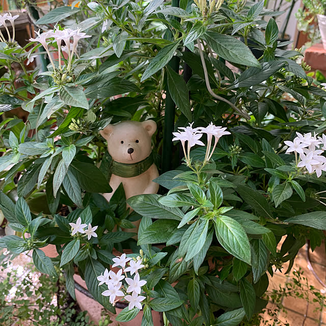 Aqettyさんの部屋