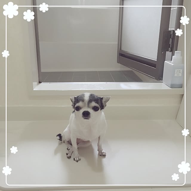 Emiさんの実例写真
