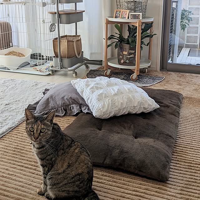 flannel.さんの実例写真