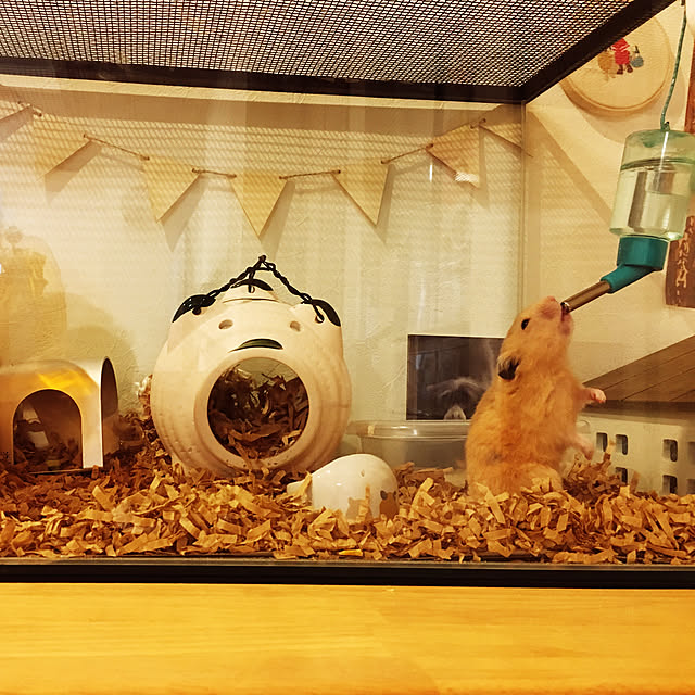 jamさんの実例写真
