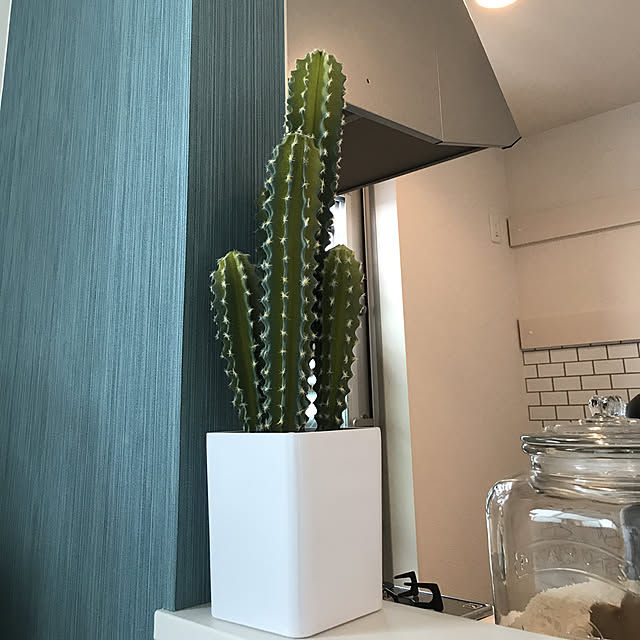 a-chanさんの部屋