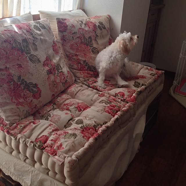 saqura_apartment101さんの実例写真