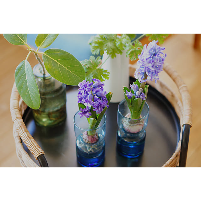 noriflowerさんの部屋