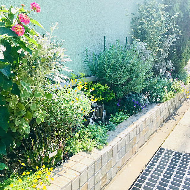 kzmykk512さんの実例写真