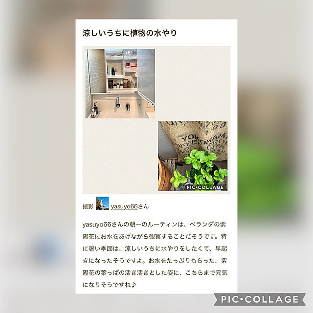 yasuyo66さんの実例写真