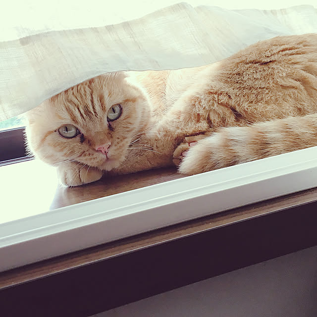 selfishhandsさんの実例写真