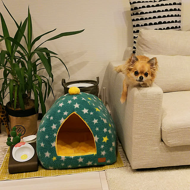 kojikojiさんの実例写真
