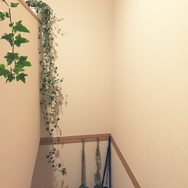 amiさんの実例写真