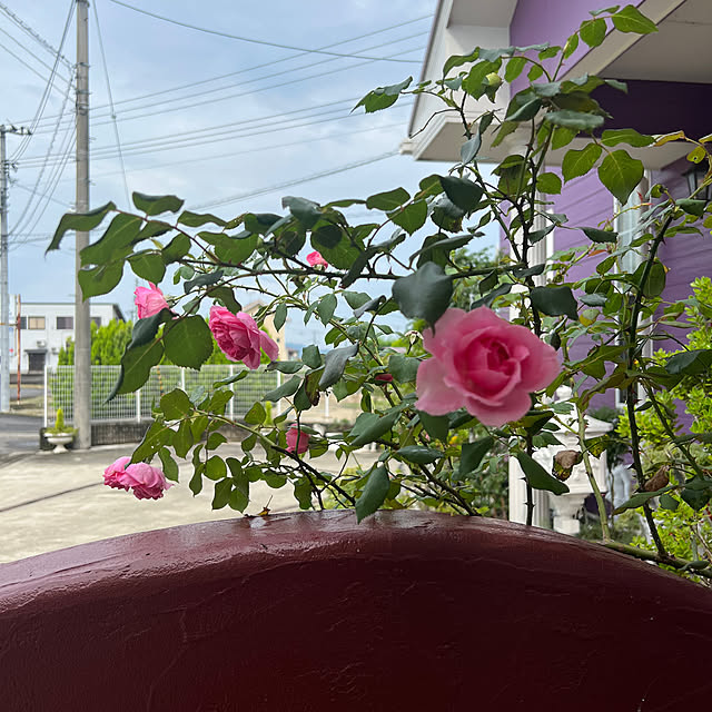 AYUKOさんの部屋