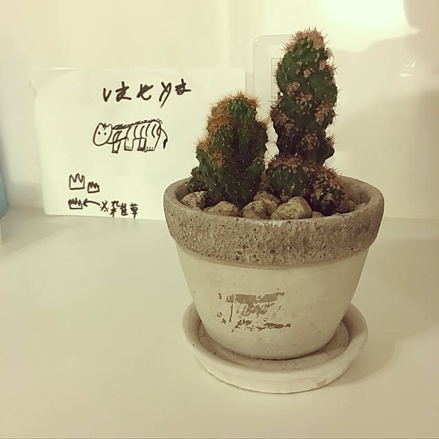 yukichi3さんの実例写真