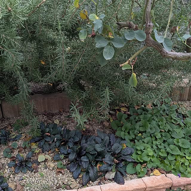 machikomamaさんの部屋