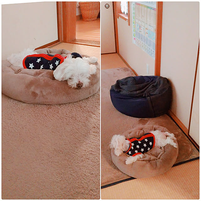 magnoliaさんの実例写真