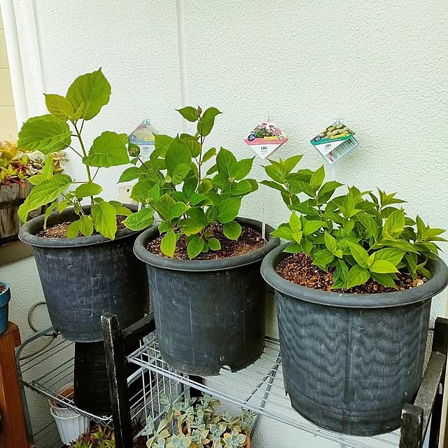 VERANDARJUNさんの実例写真